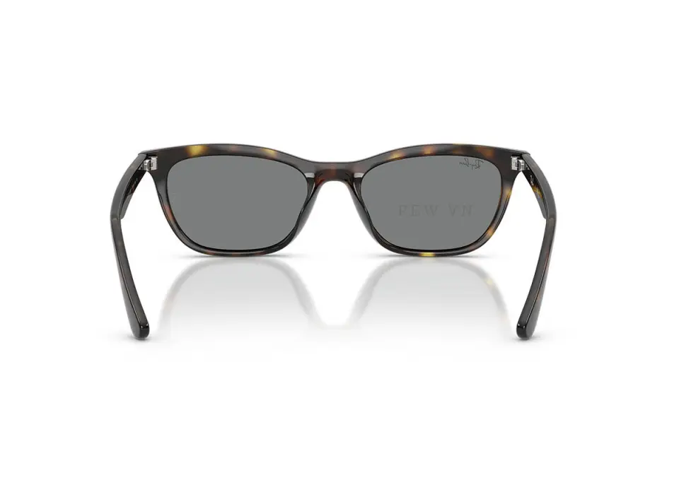 Ray-Ban RB4474D-710/87(54)
