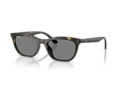 Ray-Ban RB4474D-710/87(54)