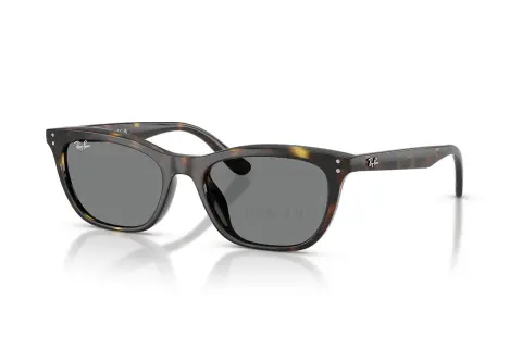 Ray-Ban RB4474D-710/87(54)