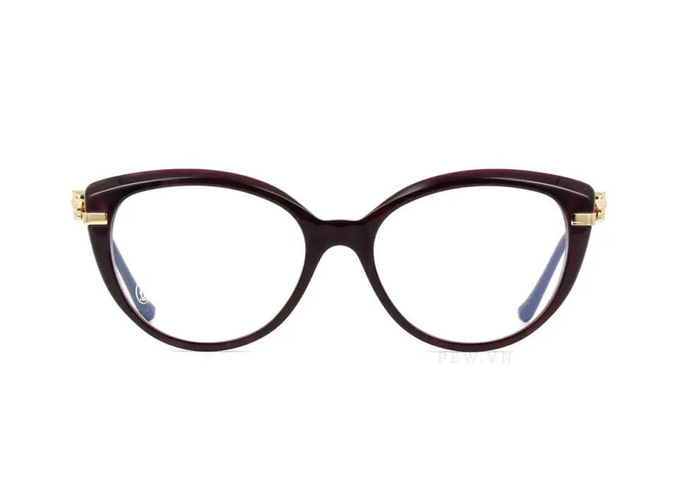 Gọng kính Cartier CT0283O 003 (54)