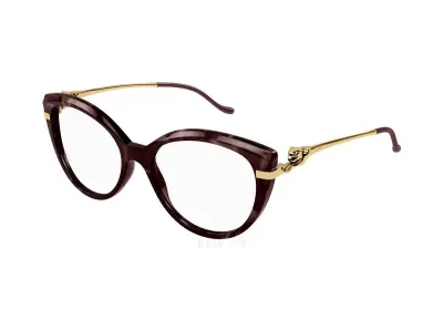 Gọng kính Cartier CT0283O 003 (54)