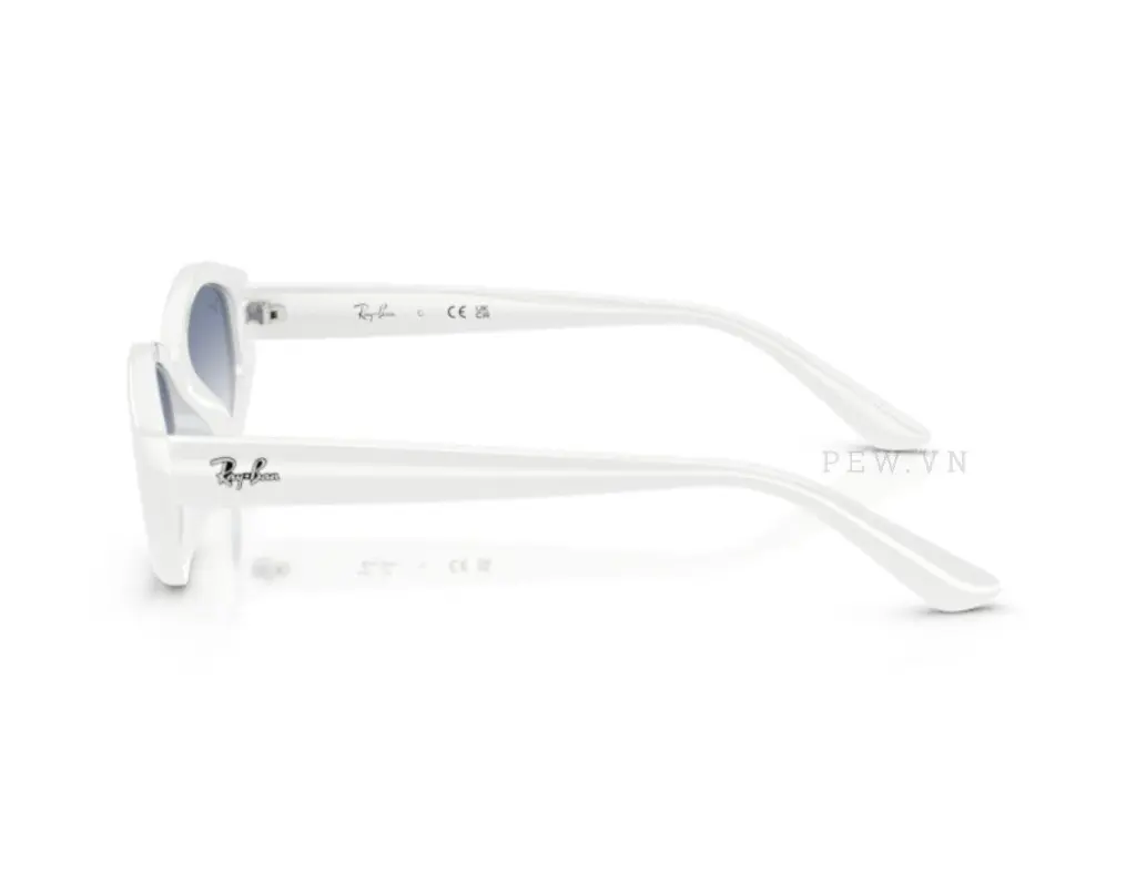 Kính mát Ray-Ban RB4473D-6677/19(56)