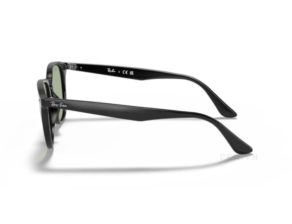 Kính mát Ray-Ban RB4259F-601/2(53)