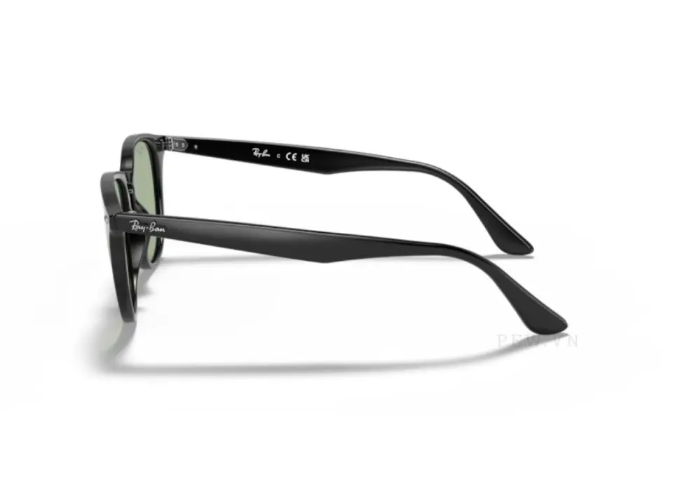Kính mát Ray-Ban RB4259F-601/2(53)
