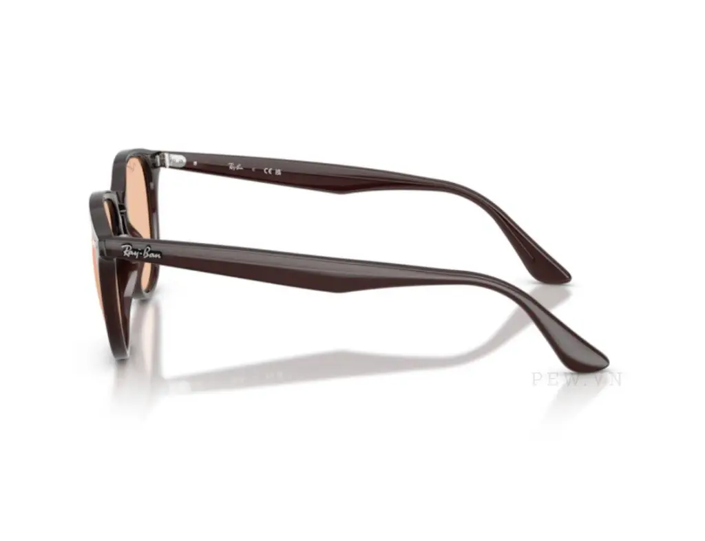 Kính mát Ray-Ban RB4259F-6231/93(53)