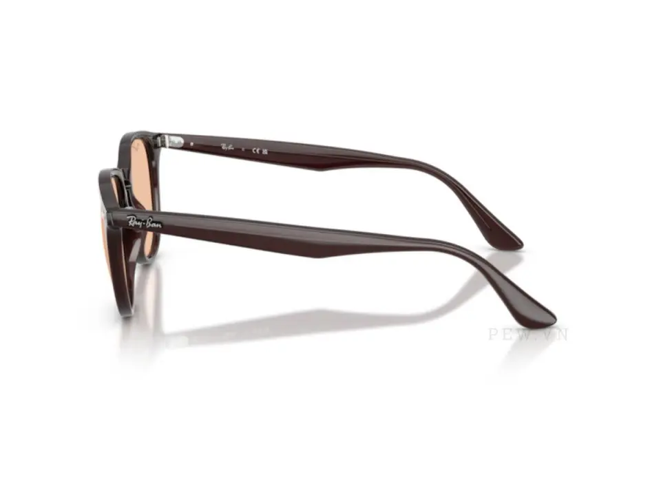 Kính mát Ray-Ban RB4259F-6231/93(53)