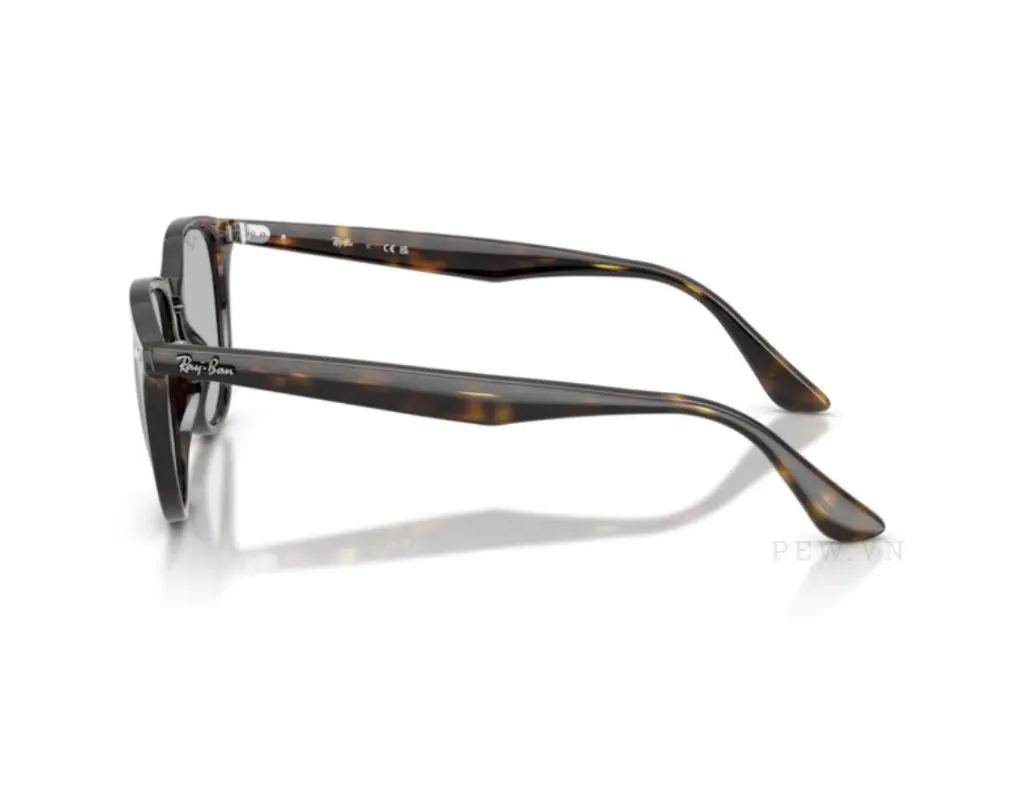 Kính mát Ray-Ban RB4259F-710/87(53)