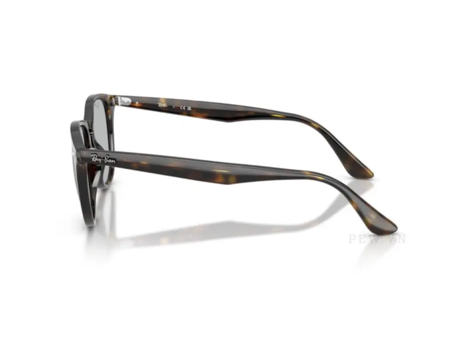 Kính mát Ray-Ban RB4259F-710/87(53)
