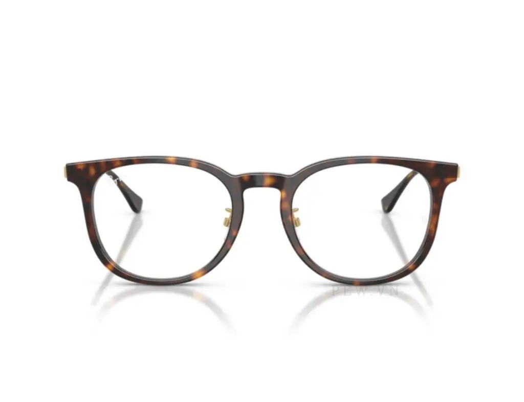 Gọng kính Ray-Ban RX5453D-2012(52)