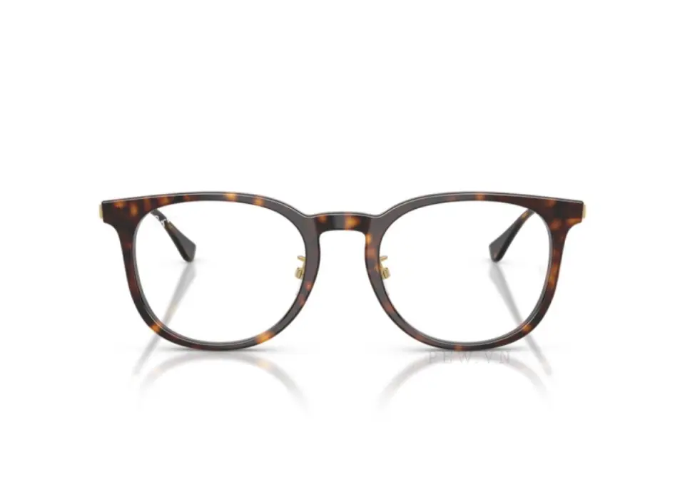 Gọng kính Ray-Ban RX5453D-2012(52)