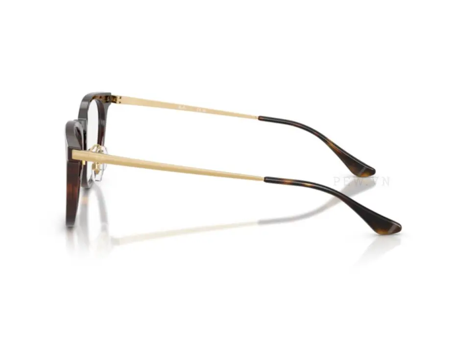 Gọng kính Ray-Ban RX5453D-2012(52)