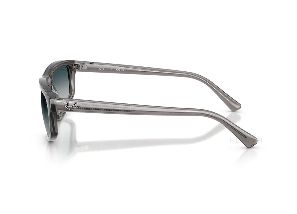 Kính mát Ray-Ban RB2225-6675/32(57)
