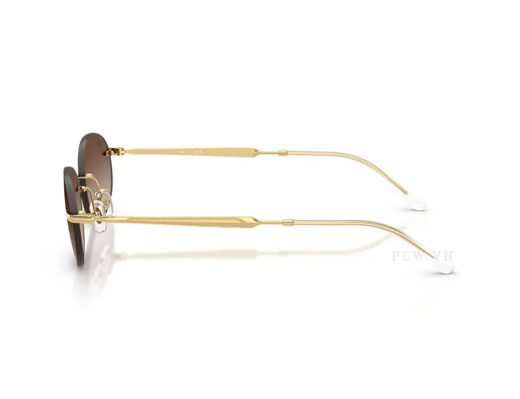Kính mát Ray-Ban RB3767-001/13(54)