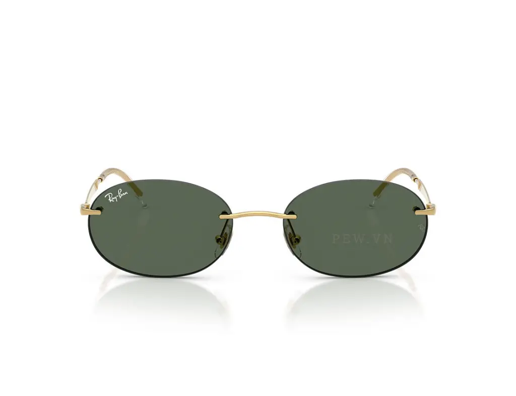 Kính mát Ray-Ban RB3767-001/71(54)