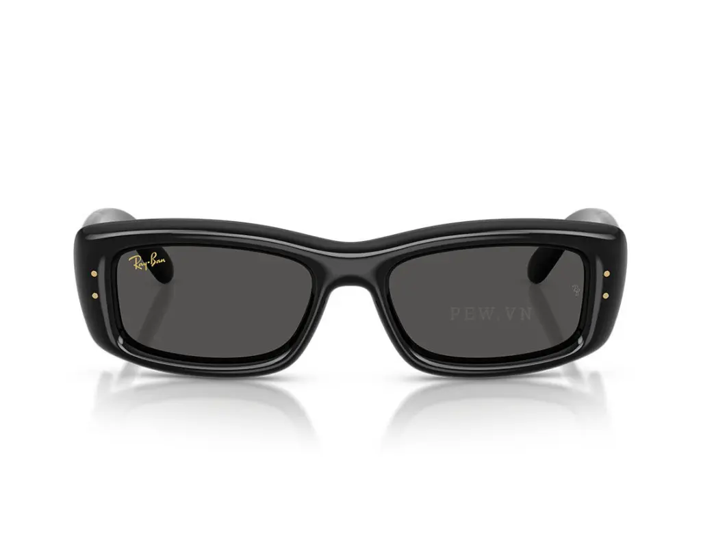 Kính mát Ray-Ban Kiliane Puffer RB4944-601/87(55)