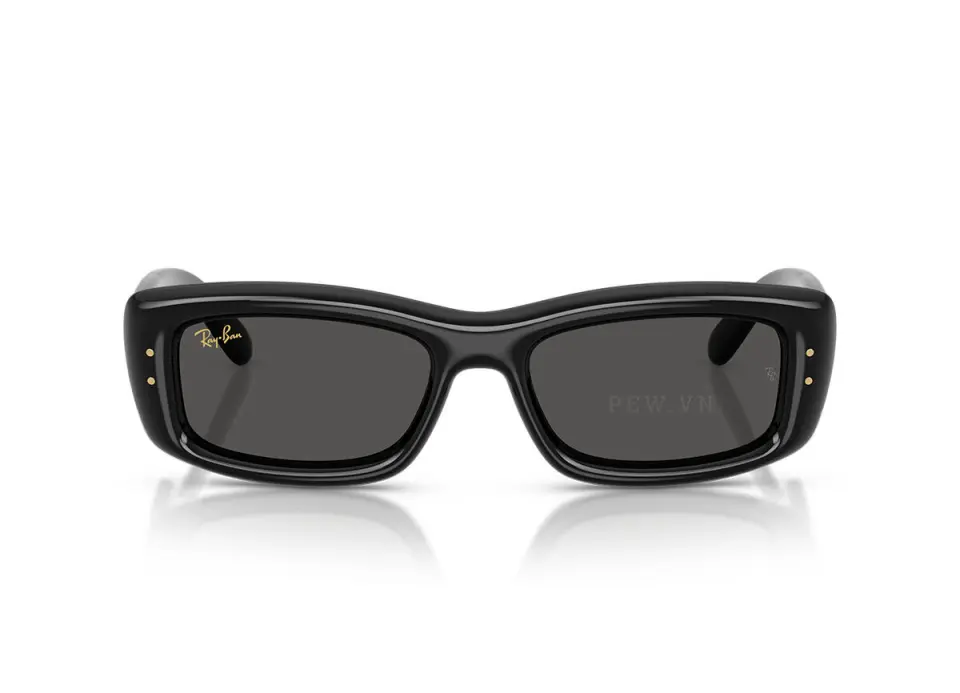 Kính mát Ray-Ban Kiliane Puffer RB4944-601/87(55)