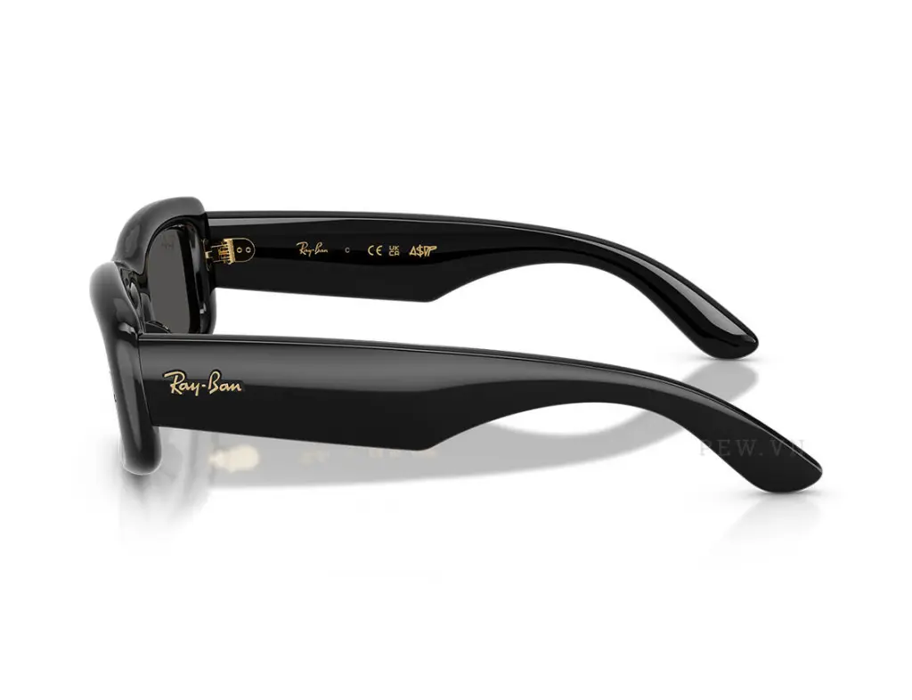 Kính mát Ray-Ban Kiliane Puffer RB4944-601/87(55)