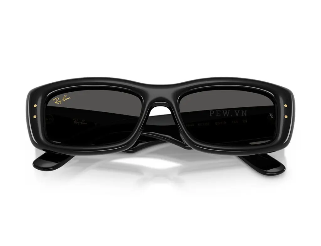 Kính mát Ray-Ban Kiliane Puffer RB4944-601/87(55)