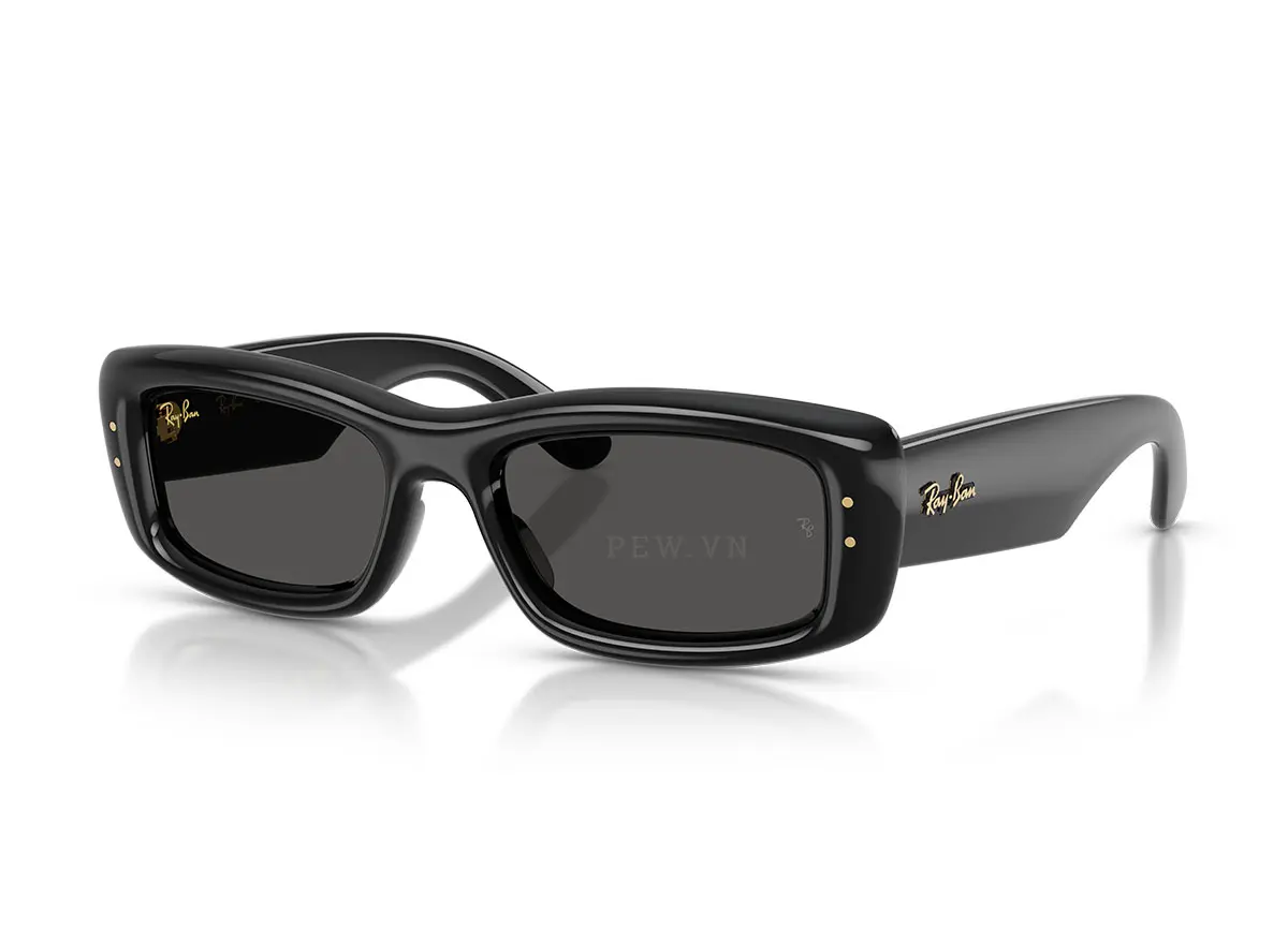 Kính mát Ray-Ban Kiliane Puffer RB4944-601/87(55)