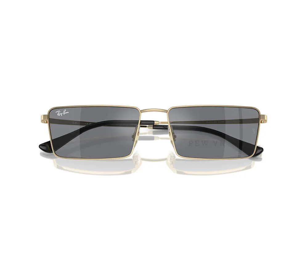 Kính mát Ray-Ban Emy RB3741-9213/6V(56)