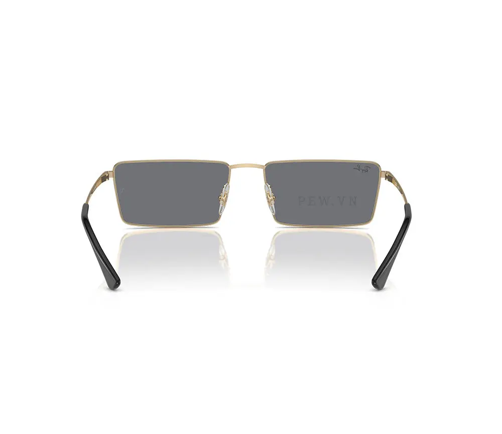 Kính mát Ray-Ban Emy RB3741-9213/6V(56)