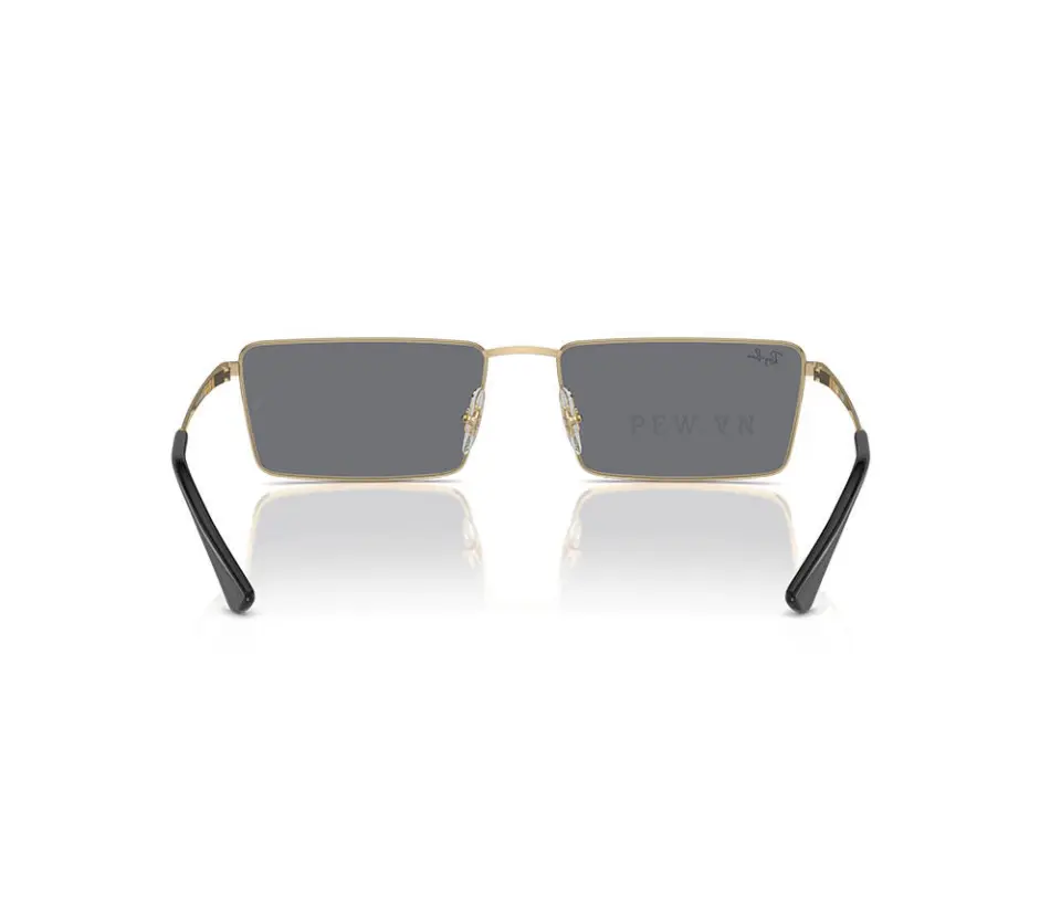 Kính mát Ray-Ban Emy RB3741-9213/6V(56)