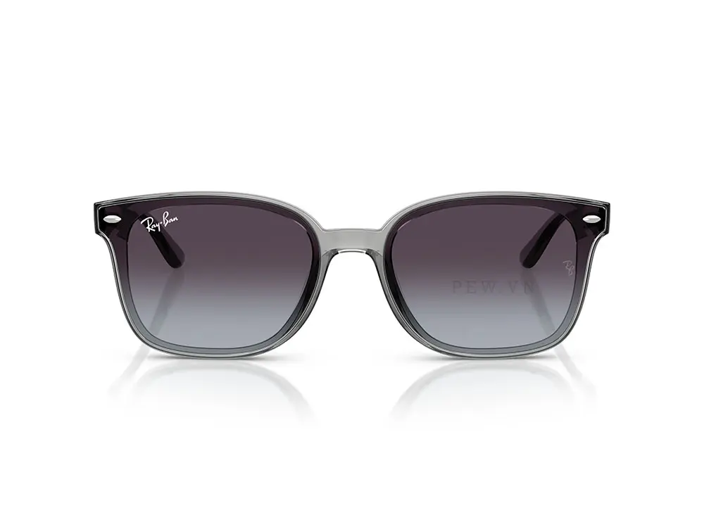 Kính mát Ray-Ban RB4461D-6450/8G(64)
