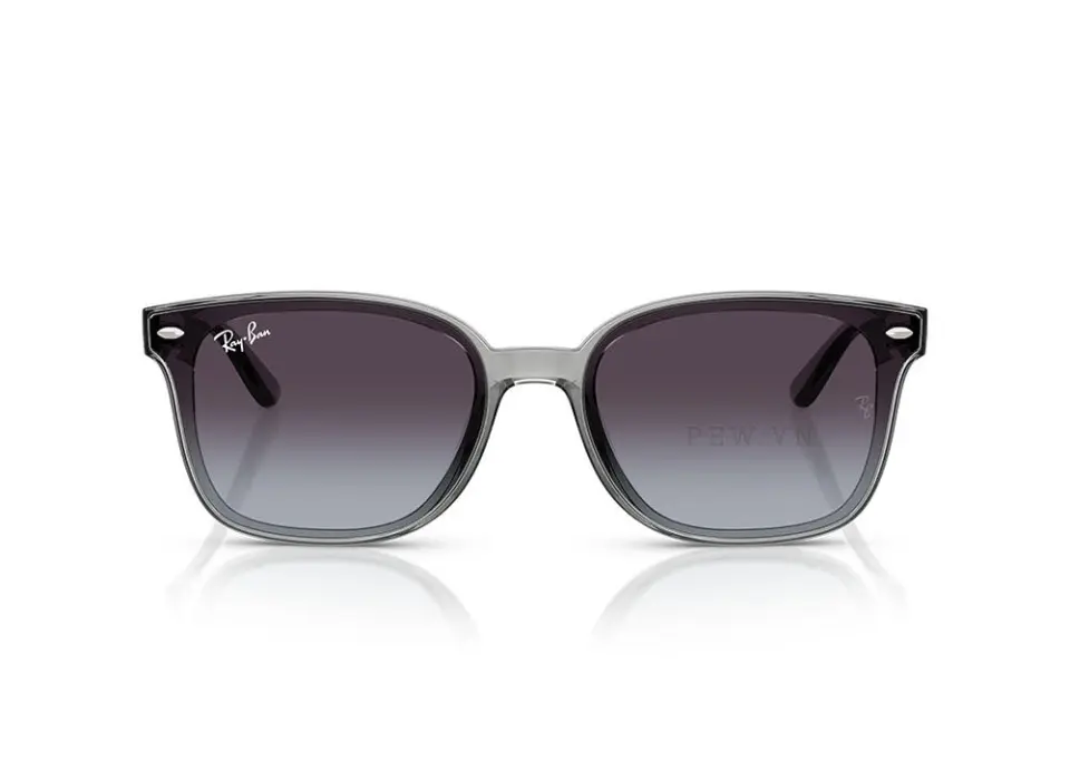 Kính mát Ray-Ban RB4461D-6450/8G(64)
