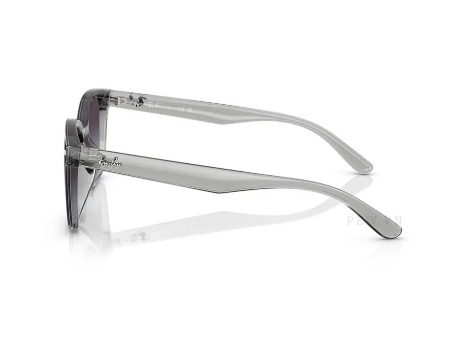 Kính mát Ray-Ban RB4461D-6450/8G(64)