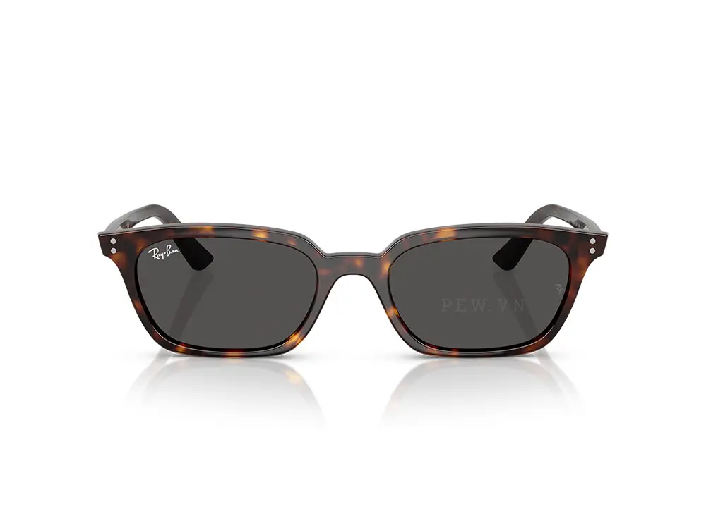 Kính mát Ray-Ban Zaya RB4456F-1359/87(52)