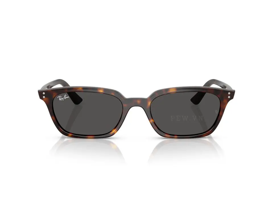 Kính mát Ray-Ban Zaya RB4456F-1359/87(52)