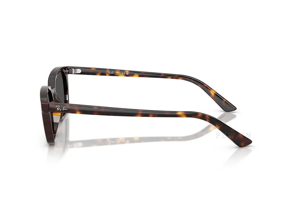 Kính mát Ray-Ban Zaya RB4456F-1359/87(52)