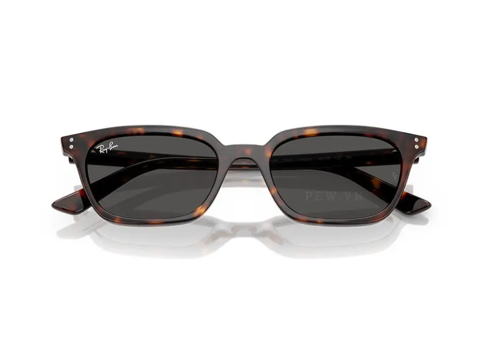 Kính mát Ray-Ban Zaya RB4456F-1359/87(52)