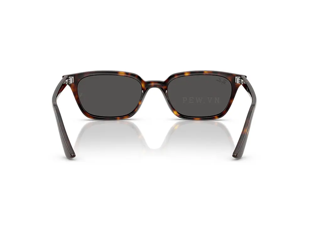 Kính mát Ray-Ban Zaya RB4456F-1359/87(52)
