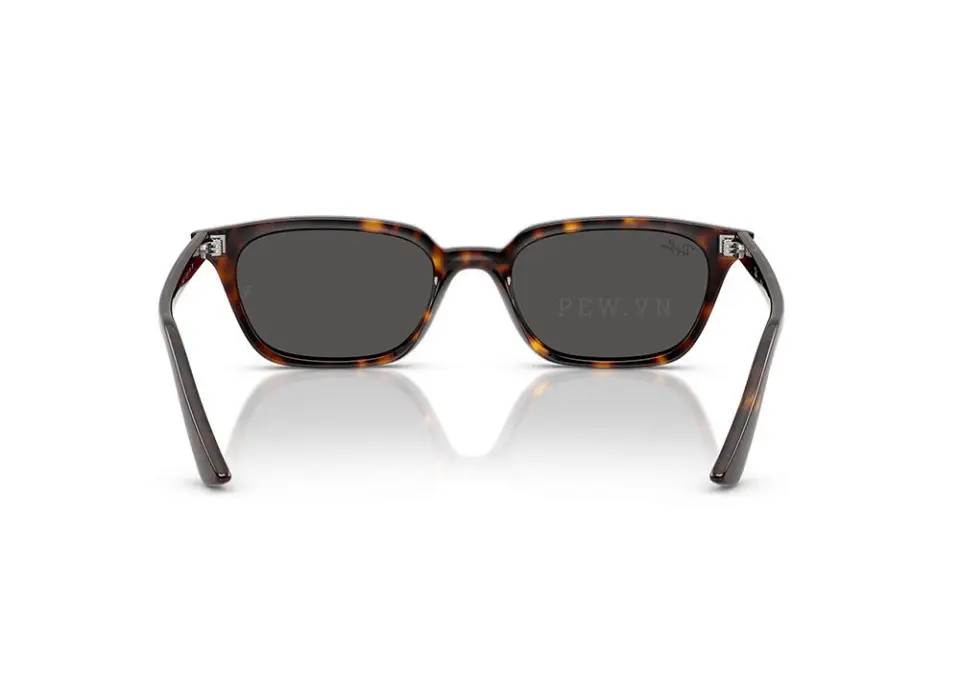 Kính mát Ray-Ban Zaya RB4456F-1359/87(52)