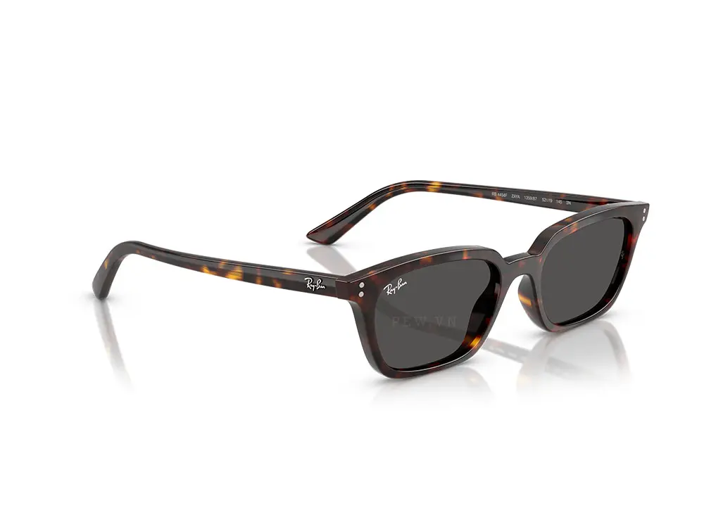 Kính mát Ray-Ban Zaya RB4456F-1359/87(52)