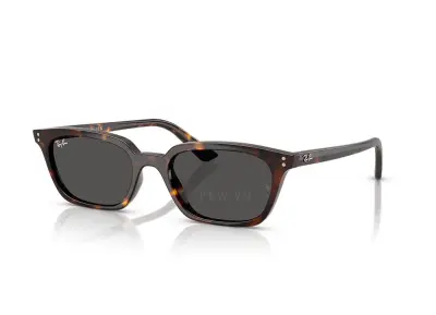 Kính mát Ray-Ban Zaya RB4456F-1359/87(52)
