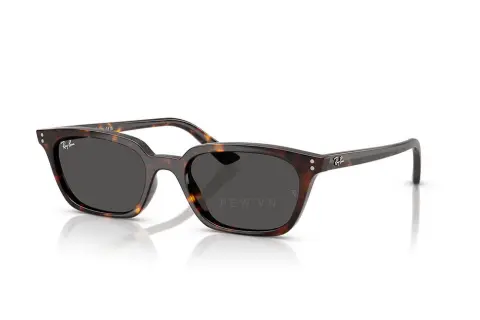 kinh-mat Kính mát Ray-Ban Zaya RB4456F-6677/81(52)