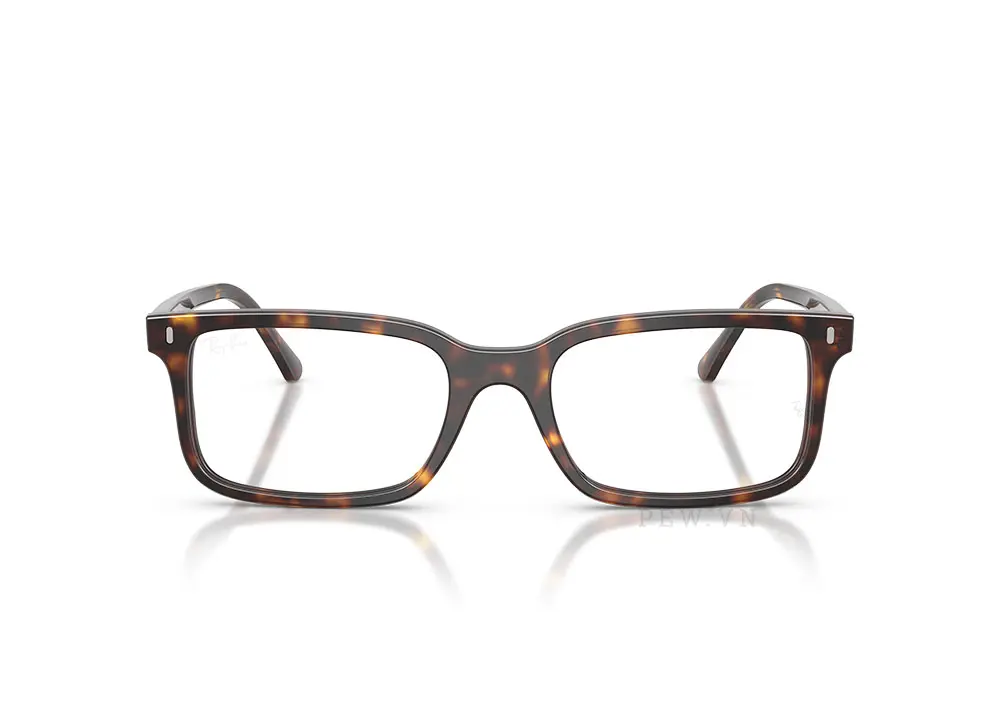 Gọng kính Ray-Ban RX5445F-2012(54)
