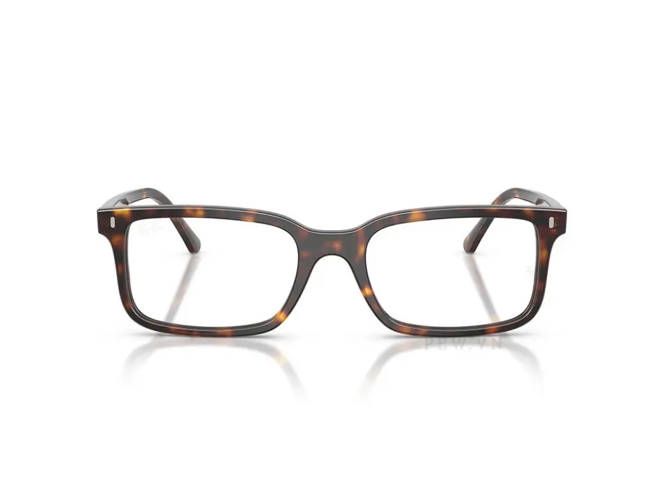 Gọng kính Ray-Ban RX5445F-2012(54)