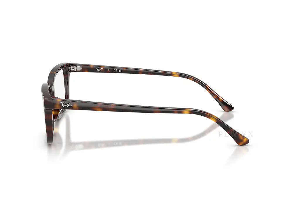 Gọng kính Ray-Ban RX5445F-2012(54)