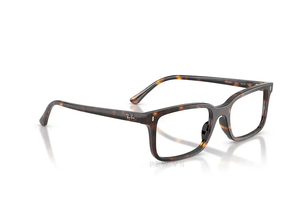 Gọng kính Ray-Ban RX5445F-2012(54)