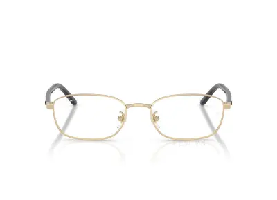 Gọng kính Ray-Ban RX6551D-2993(53)