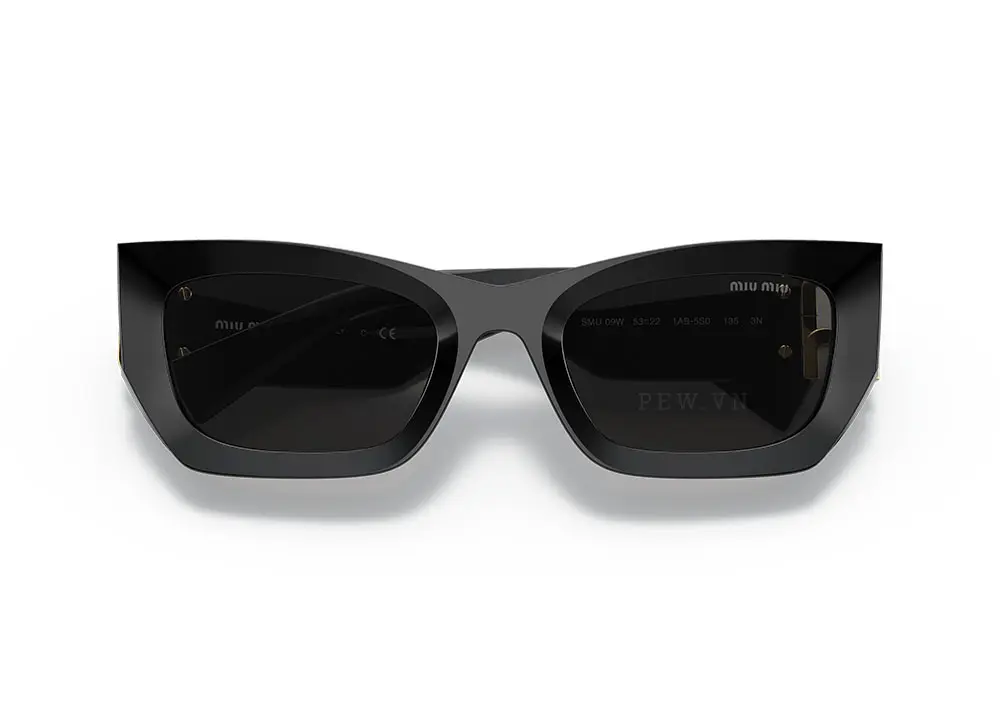Kính mát Miu Miu MU09WS 1AB5S0(53)