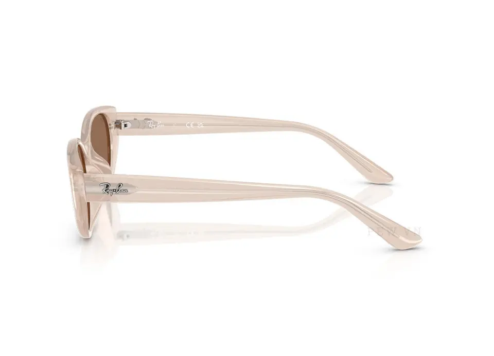 Kính mát Ray-Ban RB4457D-6786/73(55)