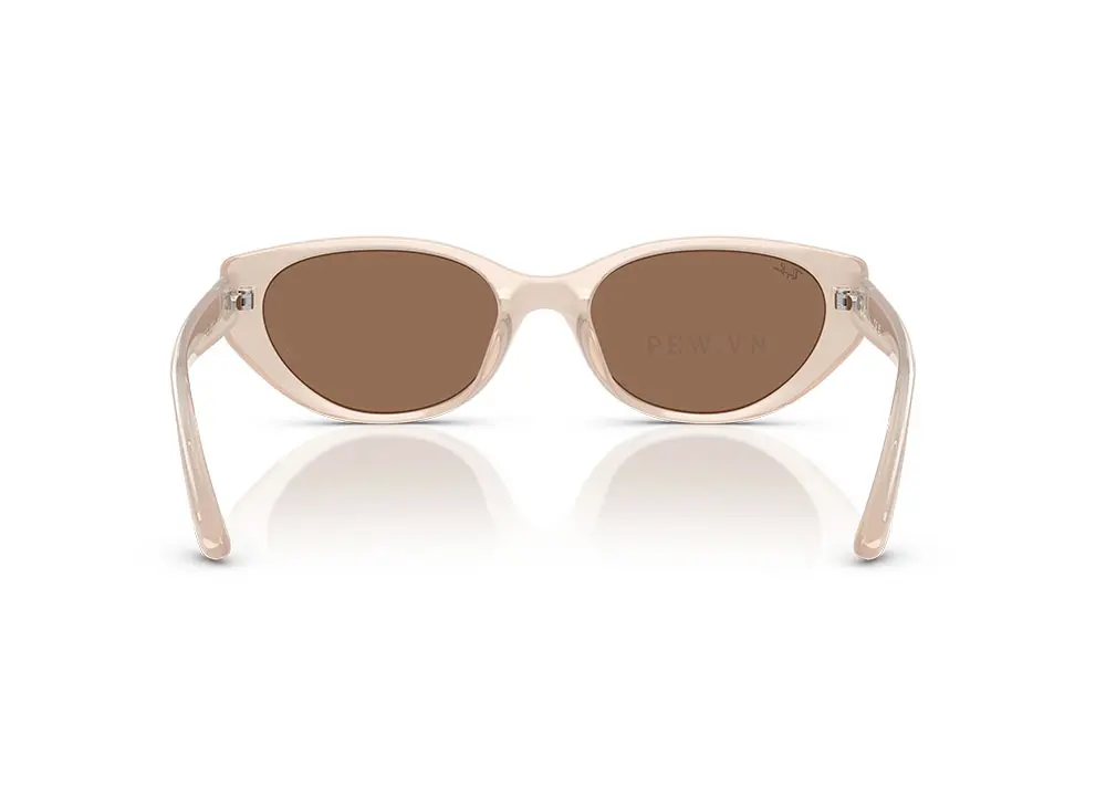 Kính mát Ray-Ban RB4457D-6786/73(55)