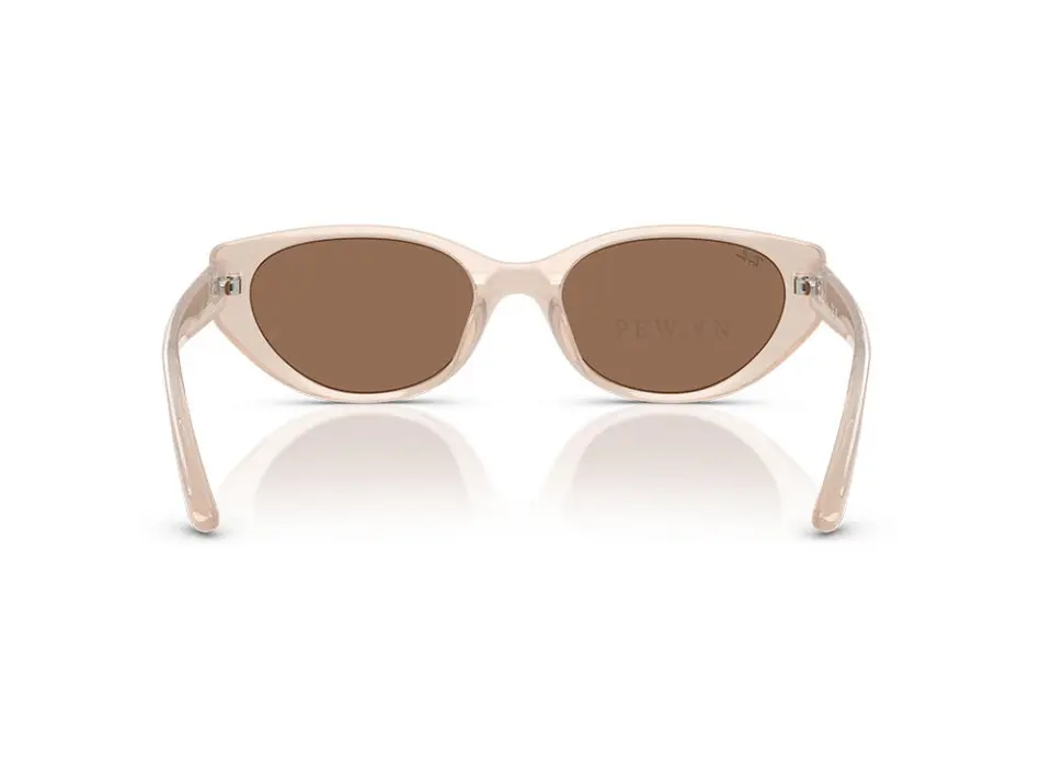 Kính mát Ray-Ban RB4457D-6786/73(55)