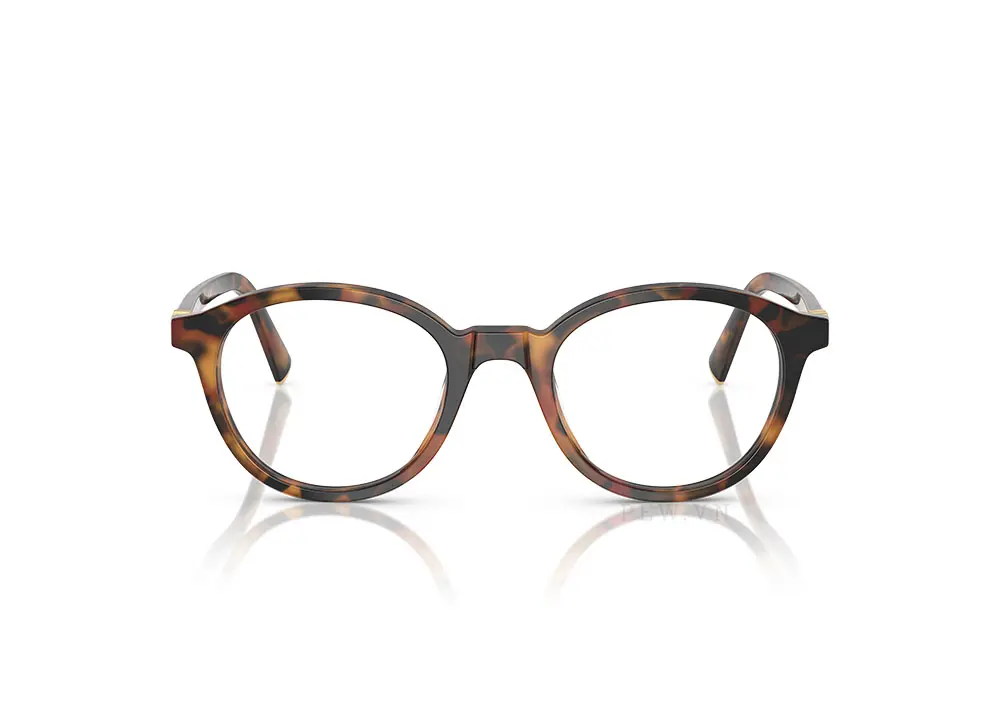 Gọng kính Miu Miu MU02WVF 19P1O1(50)