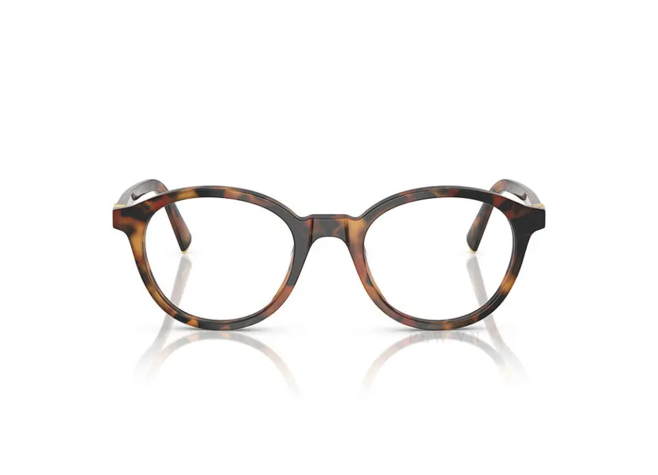Gọng kính Miu Miu MU02WVF 19P1O1(50)