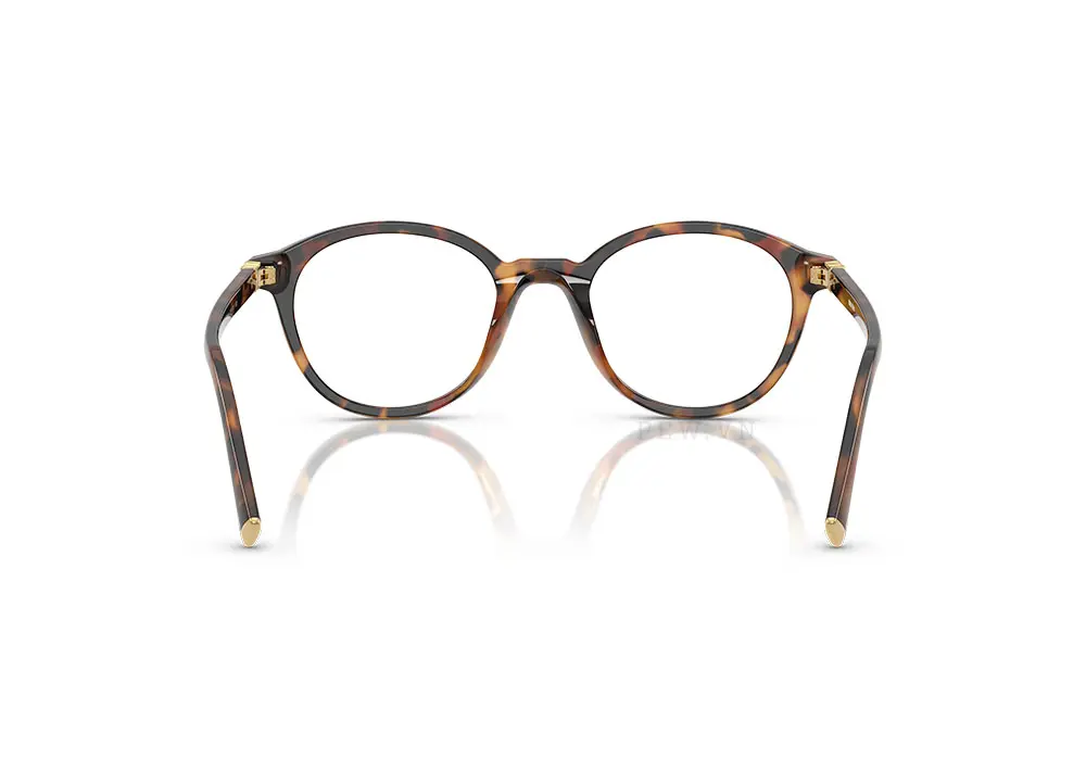 Gọng kính Miu Miu MU02WVF 19P1O1(50)